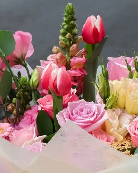 PINK - Image 3