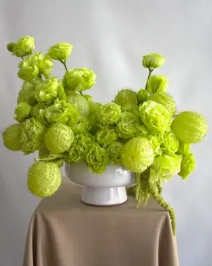 GREEN