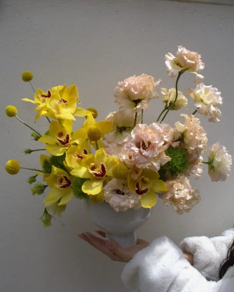 CYMBIDIUM 1 Catálogo