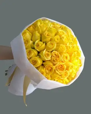 50 ROSAS