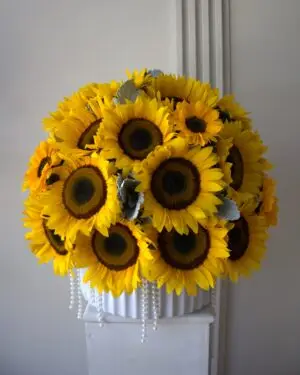 GIRASOL
