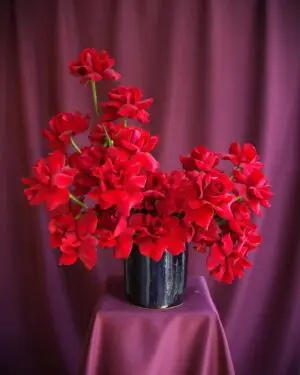 CONTIGO 11 Envia Flores en CDMX mismo día