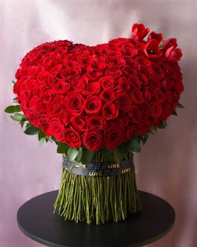 CORAZON MIO Colección San Valentín 2026