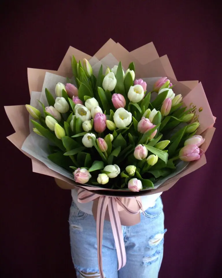 LATIDOS 11 Colección San Valentín 2026