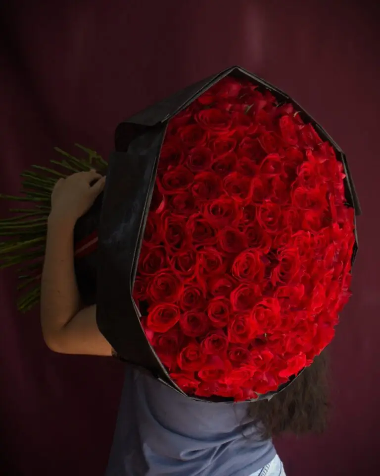 POR BONITA 11 Colección San Valentín 2026