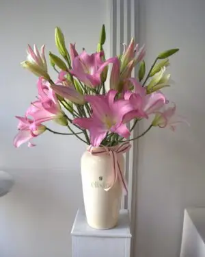 LIRIOS PARA MI DELIRIO