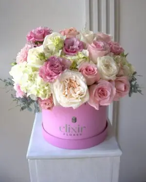 CARTASIS Colección 2026 Día de las Madres