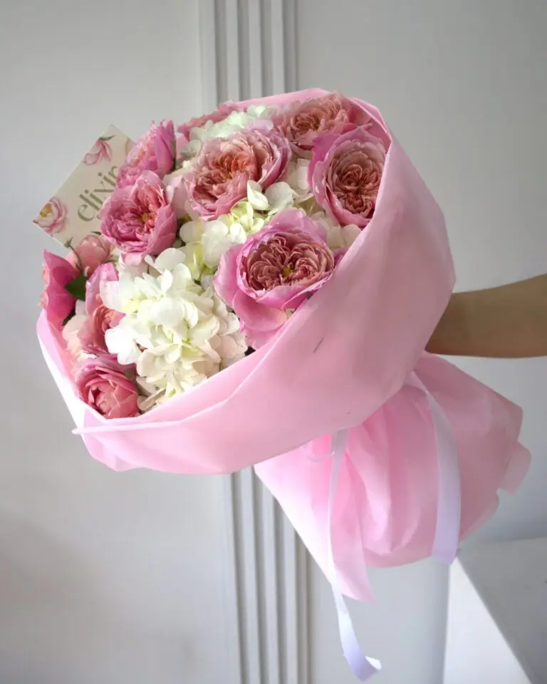 WABARA 1 1 Catálogo