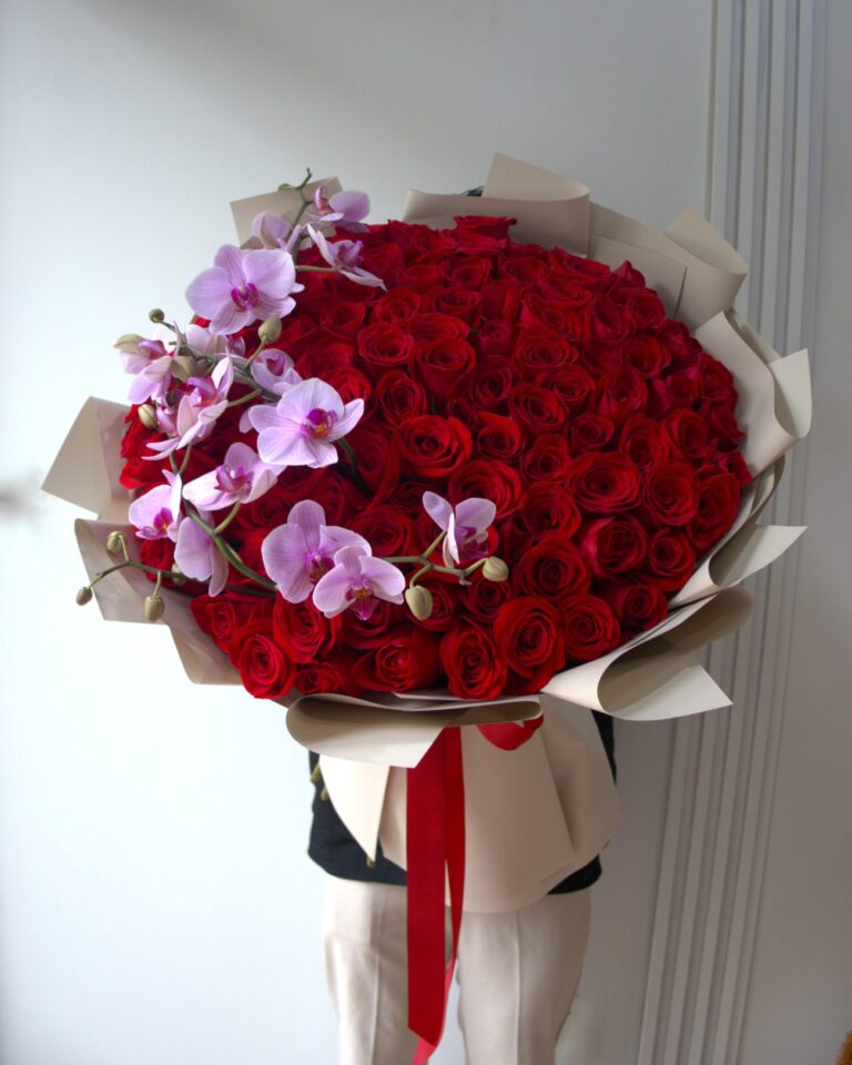 100 ROSAS ROJAS 1 Catálogo